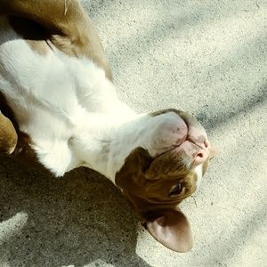 Meet your Posher, Amanda